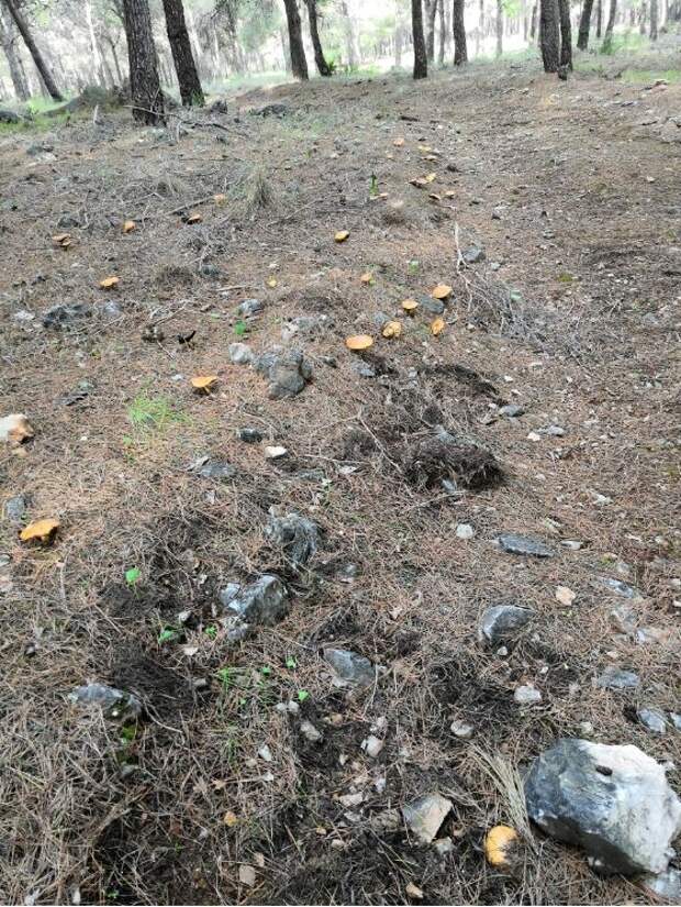 Ликбез по зарубежной недвижимости Ликбез по зарубежной недвижимости