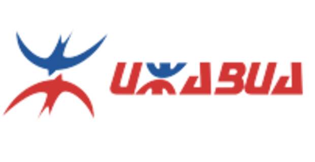 Лизинговые Boeing "Ижавиа" продолжают летать - компания