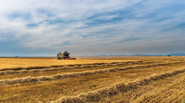 ООН: организация не участвует в принятии решений по закупке украинского зерна