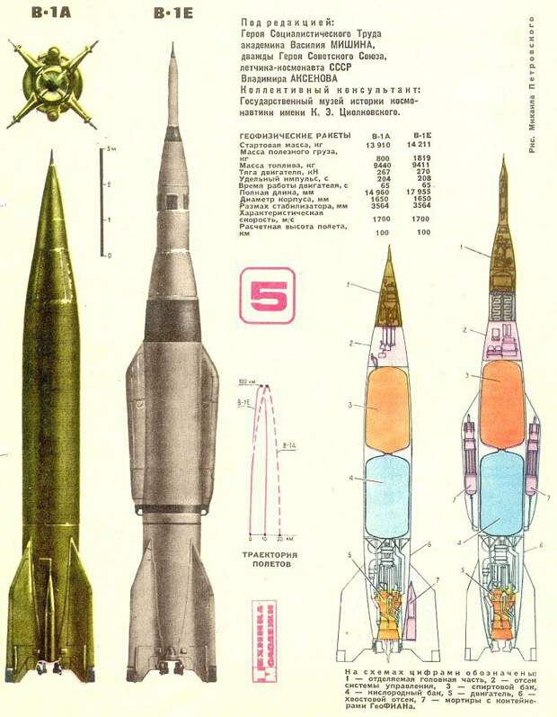 Все 48 "космических" собак из СССР