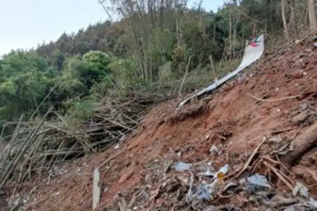 Все пассажиры и члены экипажа упавшего в КНР Boeing признаны погибшими