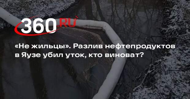 Разлив маслянистой жидкости в Яузе, из-за которого погибли утки, сняли на видео