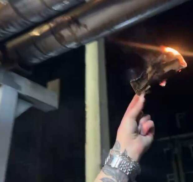 Пьяная Блогерша Превращает Паспорт в Пепел  В Новогоднюю ночь в Брянске произошел шокирующий инцидент: местная блогерша, находясь в состоянии алкогольного опьянения, устроила публичное сожжение своего-9