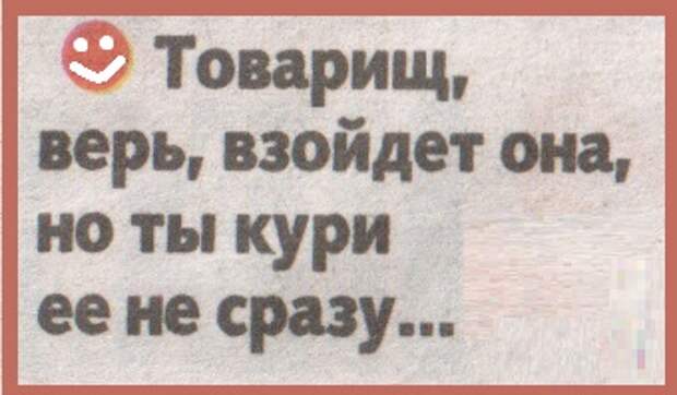 Верь взойдет. Товарищ верь взойдет. Товаришь верь взойдёт она. Товарищ верь взойдет она футболка. Товарищ верь ответка.