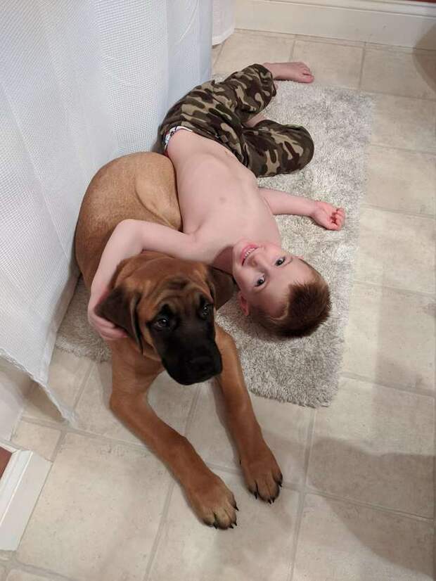 ребёнок и собака