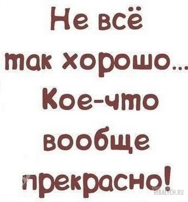 воскресный юмор