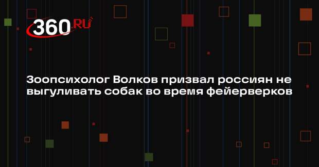 Зоопсихолог Волков призвал россиян не выгуливать собак во время фейерверков