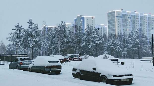 До -17. О погоде в Барнауле 25 января