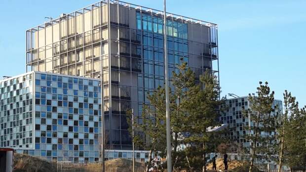 Пашинян объяснил намерение Армении ратифицировать Римский статут МУС