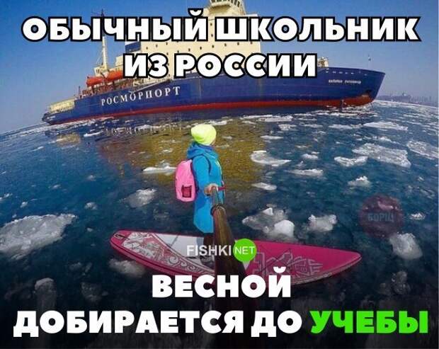 Картинки с надписями для настроения картинки с подписями, подборка, позитив, юмор
