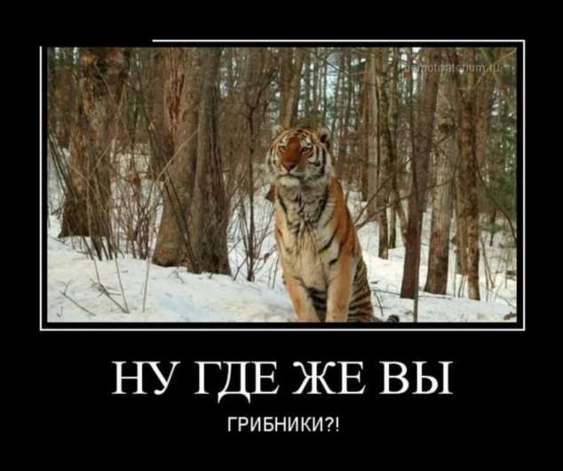 Прикольные демотиваторы с надписями. Подборка chert-poberi-dem-chert-poberi-dem-45040411082020-17 картинка chert-poberi-dem-45040411082020-17