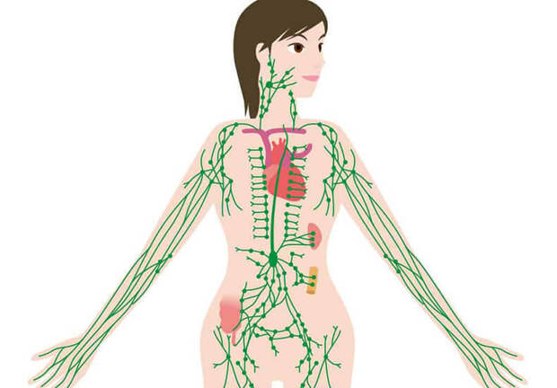 Застой в лимфатической системе: 16 симптомов 