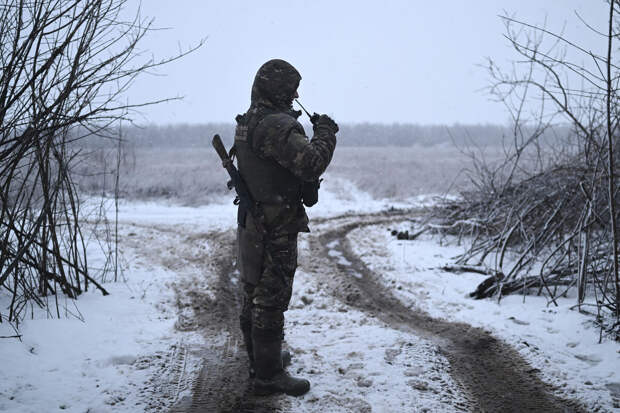 Цивилева: обратившейся к Путину вдове бойца СВО Гребе полностью выплатили пенсию
