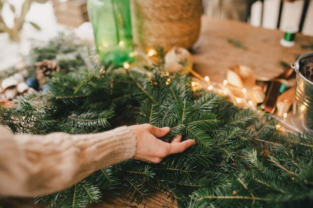 Россиян призвали сделать из новогодней елки напиток