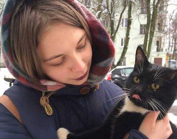 Мурманским коммунальщики спасли кота (4 фото)