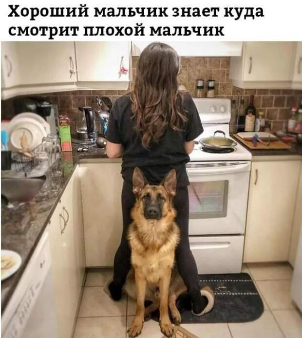 Слишком хороший мальчик