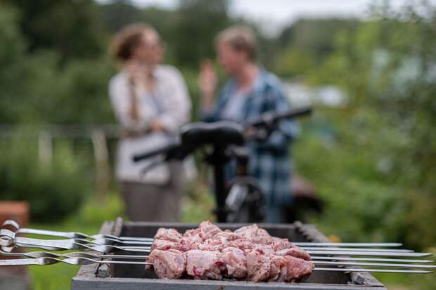 Юрист: жарить шашлык во дворе можно только при соблюдении пожарной безопасности