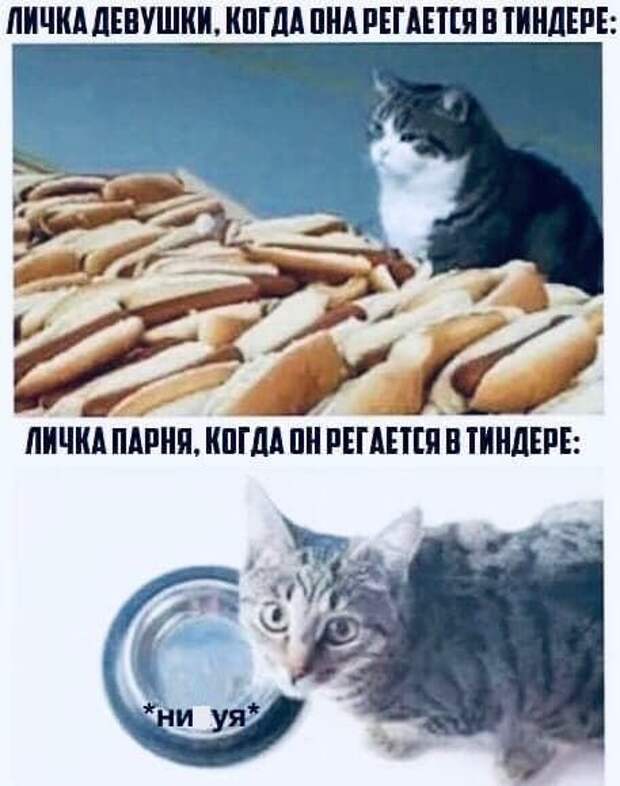 Мемы и приколы про 