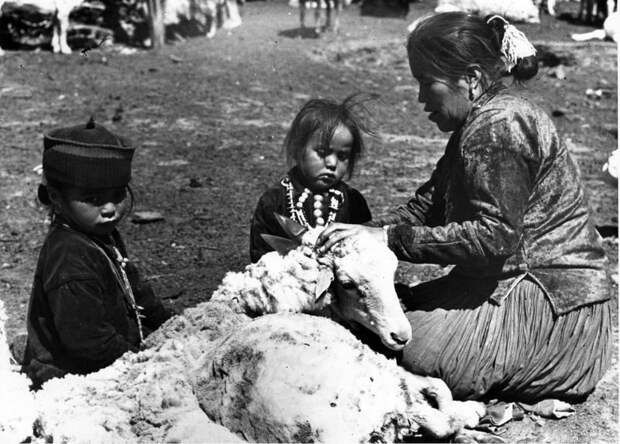 Мама с дочерьми стрижёт овцу. Туба, Аризона, 1948 индейцы, история, навахо, фотография