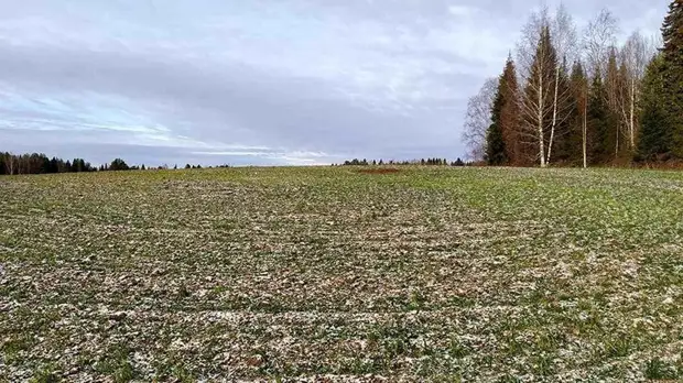 Археологи нашли поселение XIV века в Удмуртии