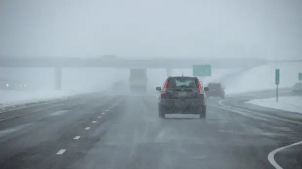 Упавшее дерево затормозило движение на «Скандинавии»