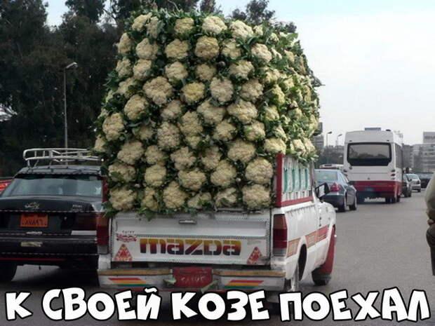 Подборка автоприколов - 72