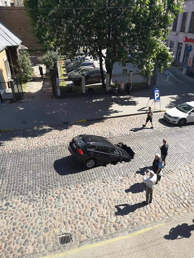 Подборка прикольных картинок
