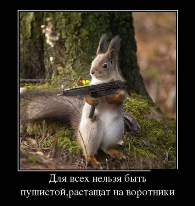 Прикольные демотиваторы с надписями. Подборка chert-poberi-dem-chert-poberi-dem-57530217102020-10 картинка chert-poberi-dem-57530217102020-10
