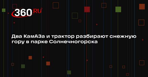 Коммунальщики расчистят парк Солнечногорска после снегопадов