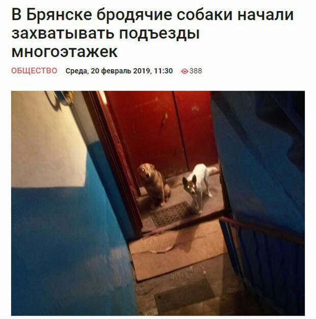Новостные заголовки, которые мы заслуживаем Новостные заголовки, которые мы заслуживаем