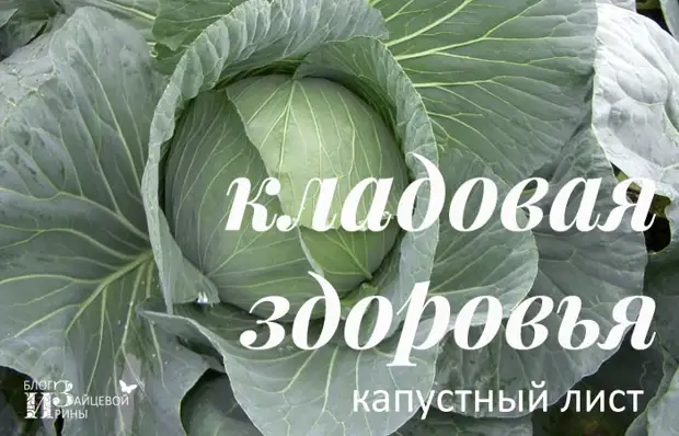 КАПУСТА В РОЛИ НАРОДНОГО ДОКТОРА