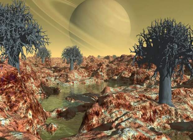 Загадочные марсианские деревья
