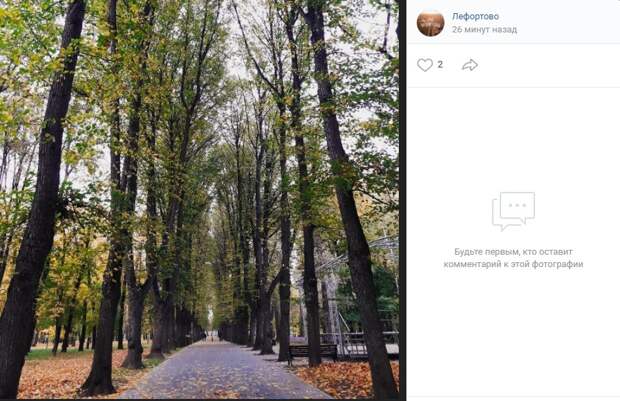 Фото дня: осенние листья шумят и шумят… в Лефортовском парке