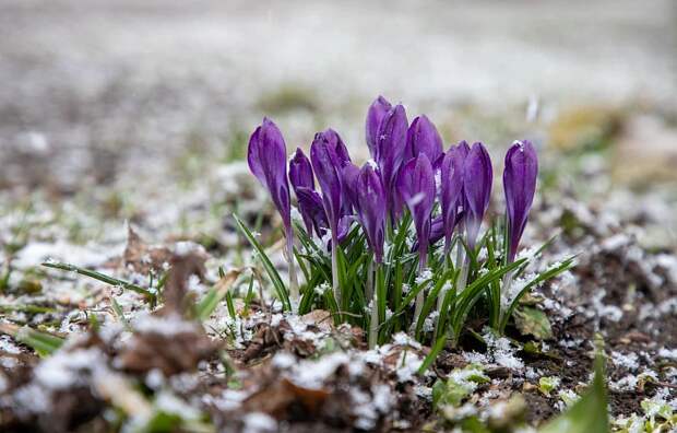 Туляков 30 марта ожидает ясная погода и до +12 градусов