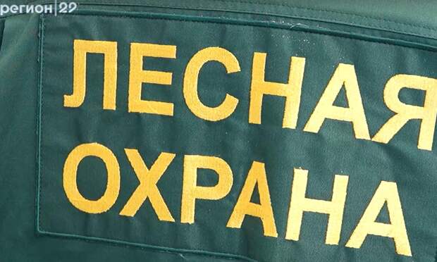 Будущих охотников Архангельской области проверят по ста вопросам