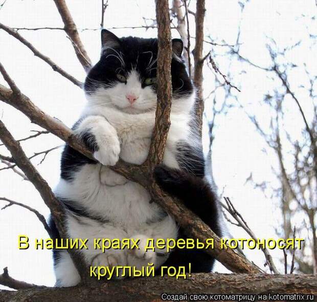 Мысли вслух :)
