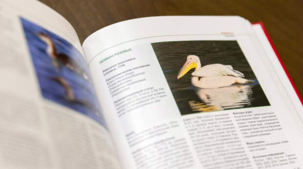 Два новых тома Красной книги издали в Крыму