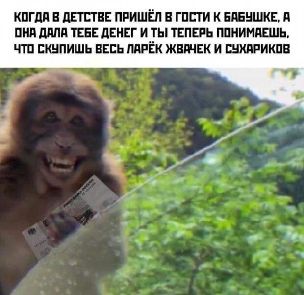 Прикольные картинки в ассортименте!!!