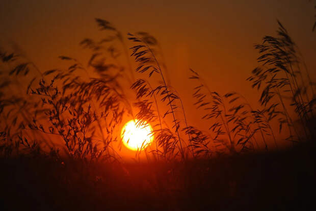 Австралия изнывает от жары под 50 градусов