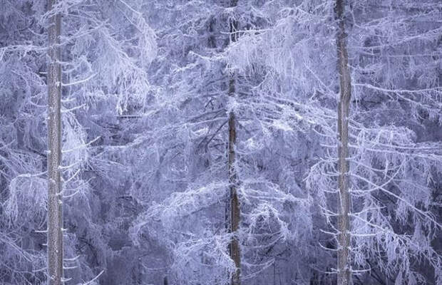 Зрелищные работы конкурса "Лучший пейзажный фотограф года" (20 фото)