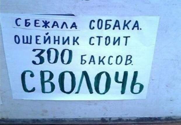 Необычайно забавные объявления о поиске пропавших животных