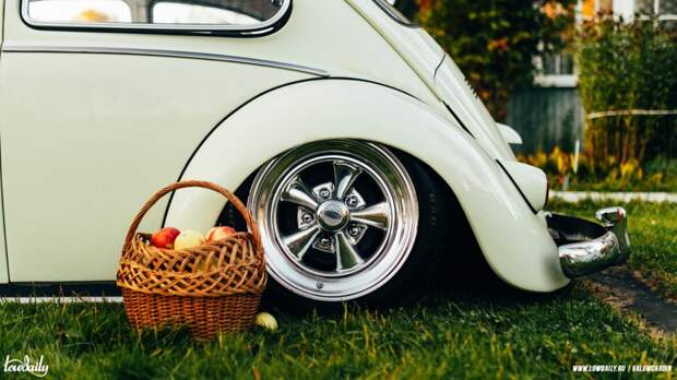 Жук на пневме