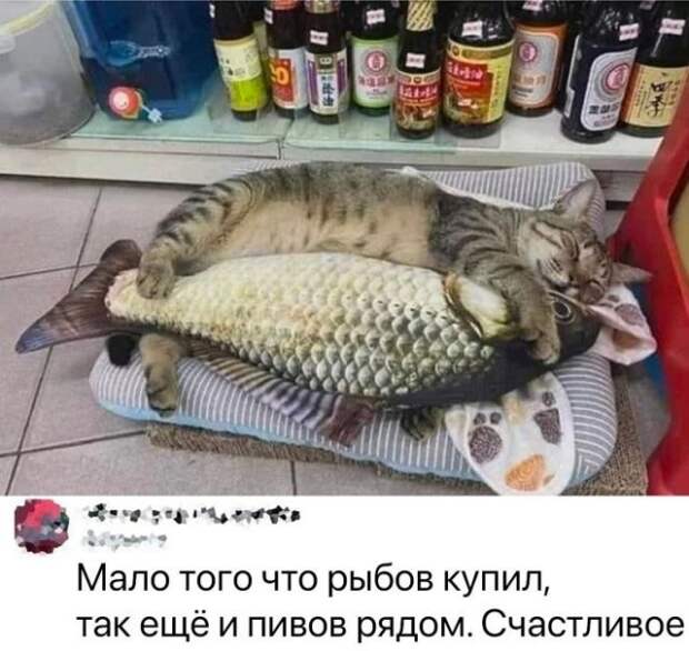 Смешные комментарии