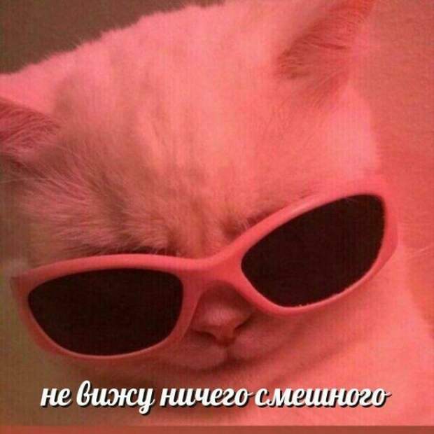 «Мразотно, мне нравится»: 10 упоротых мемов, созданных ботом