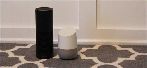 An Amazon Echo and an Google Home side by side
