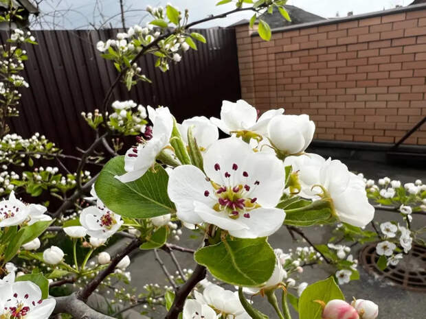 Гидрометцентр раскрыл, каким будет лето 2026: карта аномалий на апрель, май и июнь