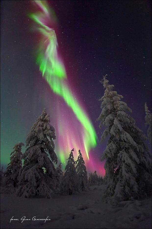 Северное сияние в Якутии Северное синие, якутия