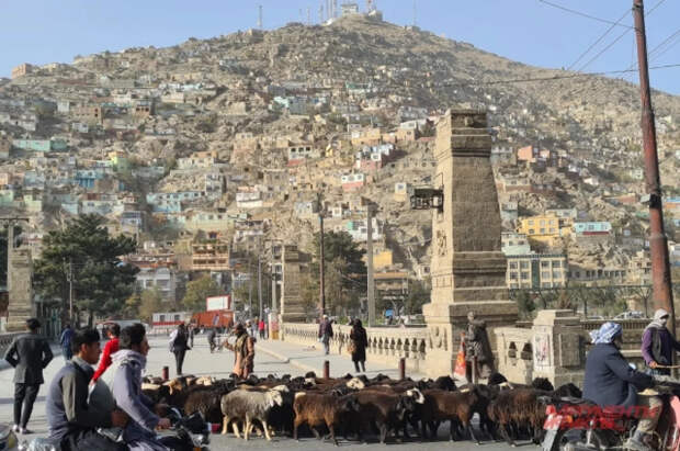 Афганистан ответил масштабными ударами на авиаудары Пакистана