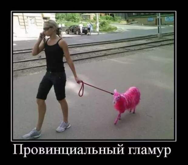 Прикольные демотиваторы с надписями. Подборка chert-poberi-dem-chert-poberi-dem-45040411082020-13 картинка chert-poberi-dem-45040411082020-13