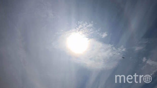 Утром в петербургском небе обнаружили солнечное гало